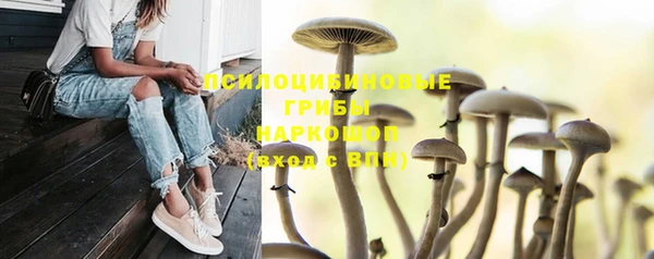 соль курить ск Майский