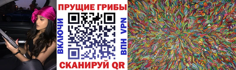 что такое наркотик  ссылка на мегу маркетплейс  Галлюциногенные грибы Magic Shrooms  Красногорск 